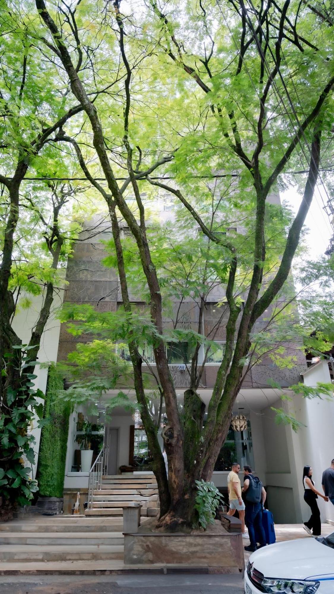 Hotel Madeiro 麦德林 外观 照片
